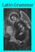 Latin Grammar by Charles L. Scanlon Am
