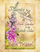 Plants for a Medieval Herb Garden in the British Isles by Elise Trissel