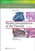 Biopsy Interpretation of the Thyroid by Scott L. Boerner, Sylvia L. Asa