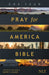 The One Year Pray for America Bible NLT (Softcover) by New Living Translation, Tyndale