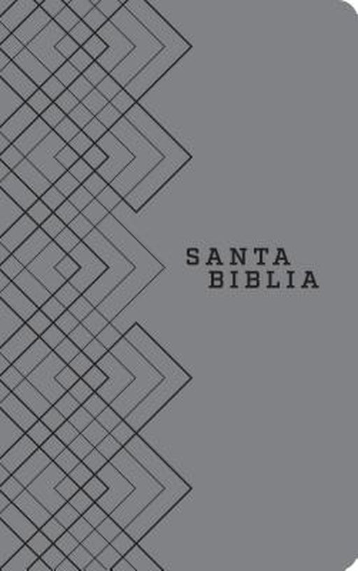 Santa Biblia Ntv, Edición Ágape (Sentipiel, Gris) by Tyndale