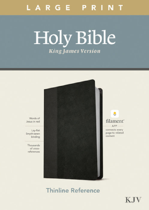 KJV Large Print Thinline Reference Bible, Filament Enabled Edition (Red Letter, Leatherlike, Black/Onyx) by Tyndale