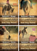 Backyard Horses 4-Pack: Horse Dreams / Cowboy Colt / Chasing Dream / Night Mare by Dandi Daley Mackall