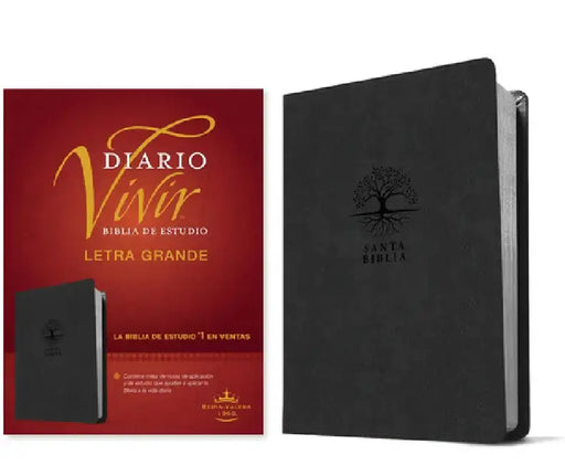 Biblia de Estudio del Diario Vivir Rvr60, Letra Grande (Sentipiel, Carbón, Letra Roja) by Tyndale