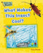 What Makes This Insect Cool? by Capstone Classroom, Tony Stead