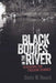 Black Bodies in the River: Searching for Freedom Summer by Davis W. Houck