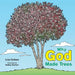 Why God Made Trees by Lila Cohen