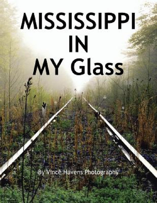 Mississippi in My Glass by Vince Havens