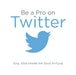 Be a Pro on Twitter by Eng Abdulmalek Bin Saud Arrfyyq