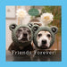Sookie and Ivy Friends Forever! by Jani Oja
