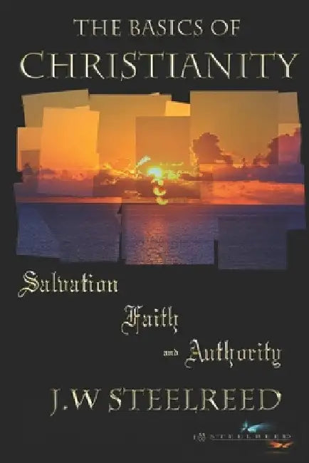 The Basics of Christianity Salvation, Faith and Authority by J. W. Steelreed