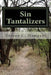 Sin Tantalizers by Doreen C. Mampani