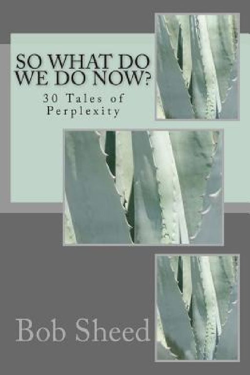 So What Do We Do Now?: 30 Tales of Perplexity by Bob Sheed