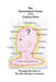 The Phenomenal Power of the Curious Mind by Barbara Leonard