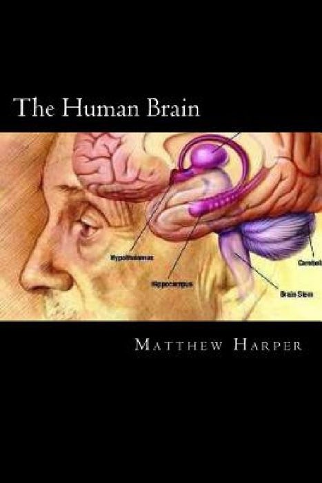 The Human Brain: A Fascinating Book Containing Human Brain Facts, Trivia, Images & Memory Recall Quiz: Suitable for Adults & Children by Matthew Harper