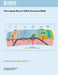 Volcanogenic Massive Sulfide Occurrence Model by U. S. Department of the Interior