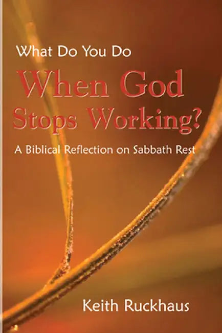When God Stops Working by Keith Ruckhaus