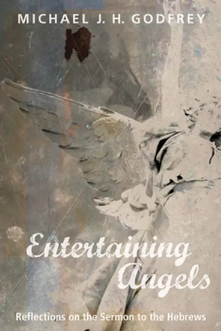 Entertaining Angels by Michael J. H. Godfrey