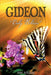 Gideon by Rw Hahn