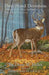 Deer Stand Devotions by Dean M. Hulce