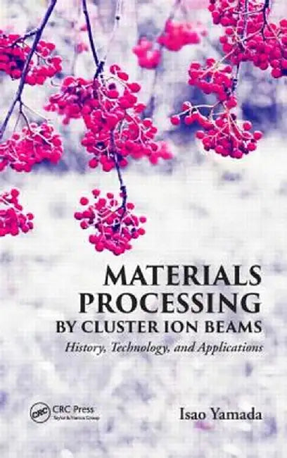 Materials Processing by Cluster Ion Beams: History, Technology, and Applications by Isao Yamada