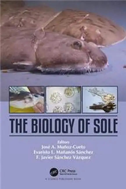 The Biology of Sole by Evaristo L. Mananos Sanchez, F. Javier Sanchez Vazquez