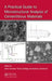 A Practical Guide to Microstructural Analysis of Cementitious Materials by Karen Scrivener