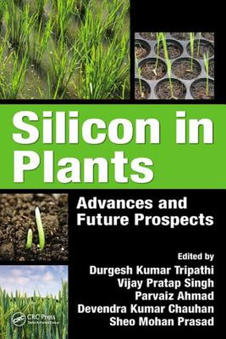 Silicon in Plants: Advances and Future Prospects by Durgesh Kumar Tripathi