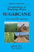 Compendium of Bioenergy Plants: Sugarcane by Eric Lam