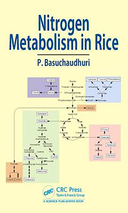 Nitrogen Metabolism in Rice