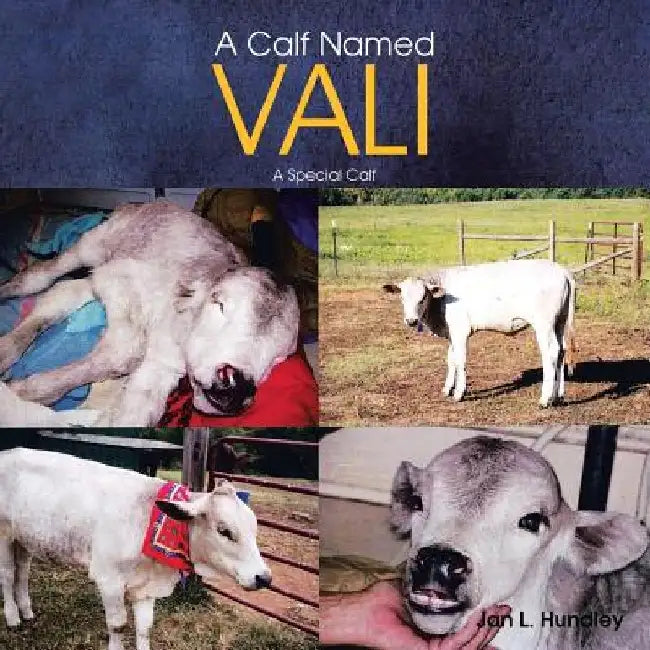 A Calf Named Vali: A Special Calf by Jan L. Hundley
