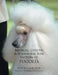 Medical, Genetic & Behavioral Risk Factors of Poodles by DVM Ross D. Clark