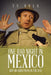 One Bad Night in Mexico: (But 100 Good Poems in the USA) by Ts Bola