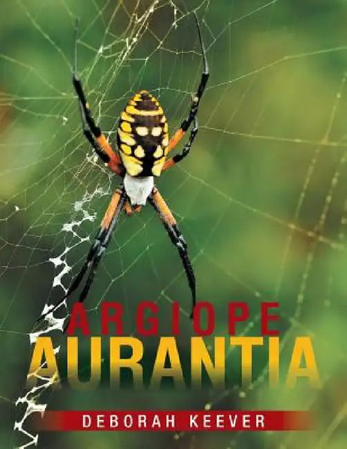 Argiope Aurantia by Deborah Keever