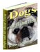 Dogs And All About Them by Robert Leighton