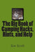 The Big Book of Camping Hacks, Hints, and Help by Gia Scott