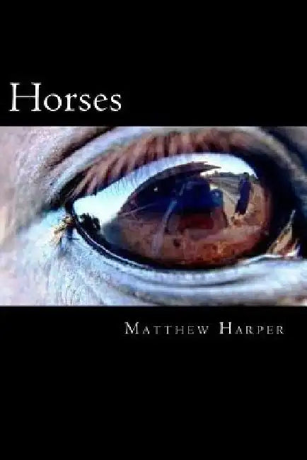 Horses: The Essential Guide To Horses For Kids by Matthew Harper