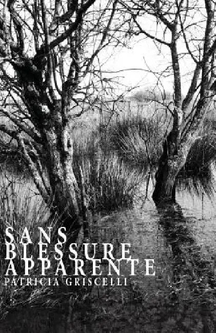 Sans blessure apparente by Leclerc, Anais