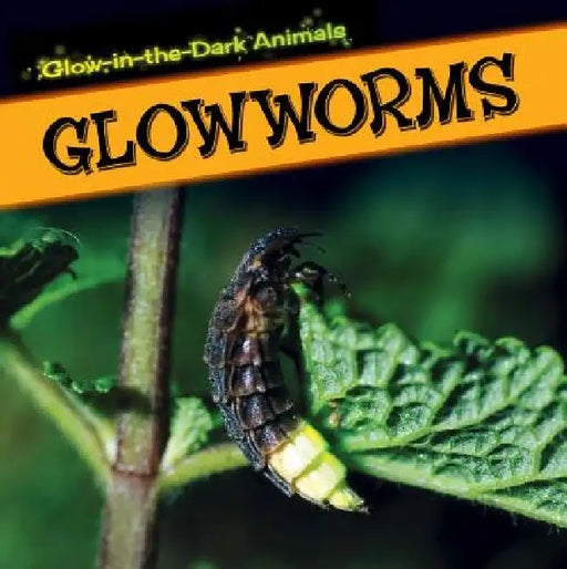 Glowworms by Kristen Rajczak Nelson