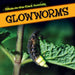 Glowworms by Kristen Rajczak Nelson