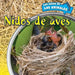 Nidos de Aves (Inside Bird Nests) by Ethan Danielson