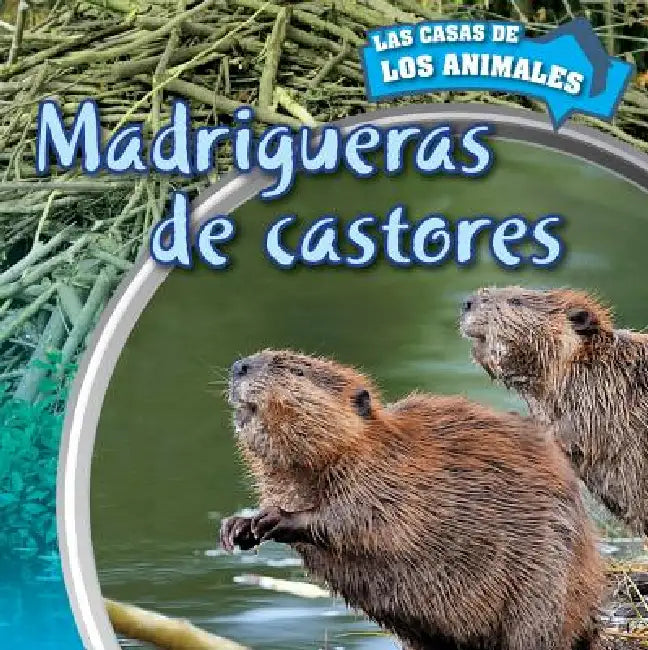 Madrigueras de Castores (Inside Beaver Lodges) by Emily Wilson