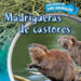 Madrigueras de Castores (Inside Beaver Lodges) by Emily Wilson