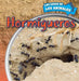 Hormigueros (Inside Anthills) by Henry Abbot