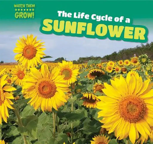 The Life Cycle of a Sunflower by Bonnie Phelps