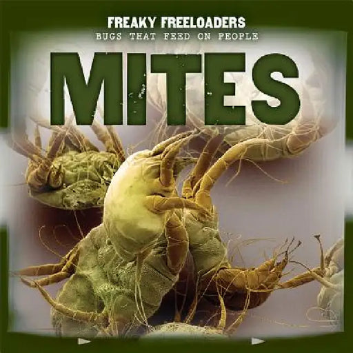 Mites by Lorraine Harrison