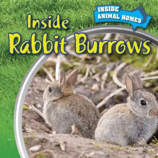 Inside Rabbit Burrows by Liz Chung