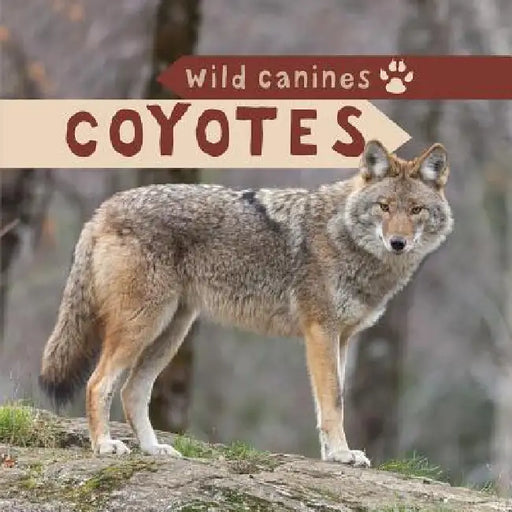 Coyotes by Harper Avett