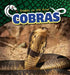Cobras by Dennis Rudenko