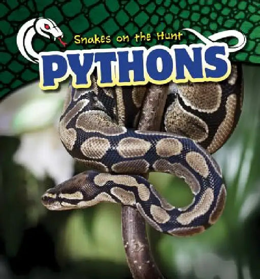 Pythons by Amy Austen